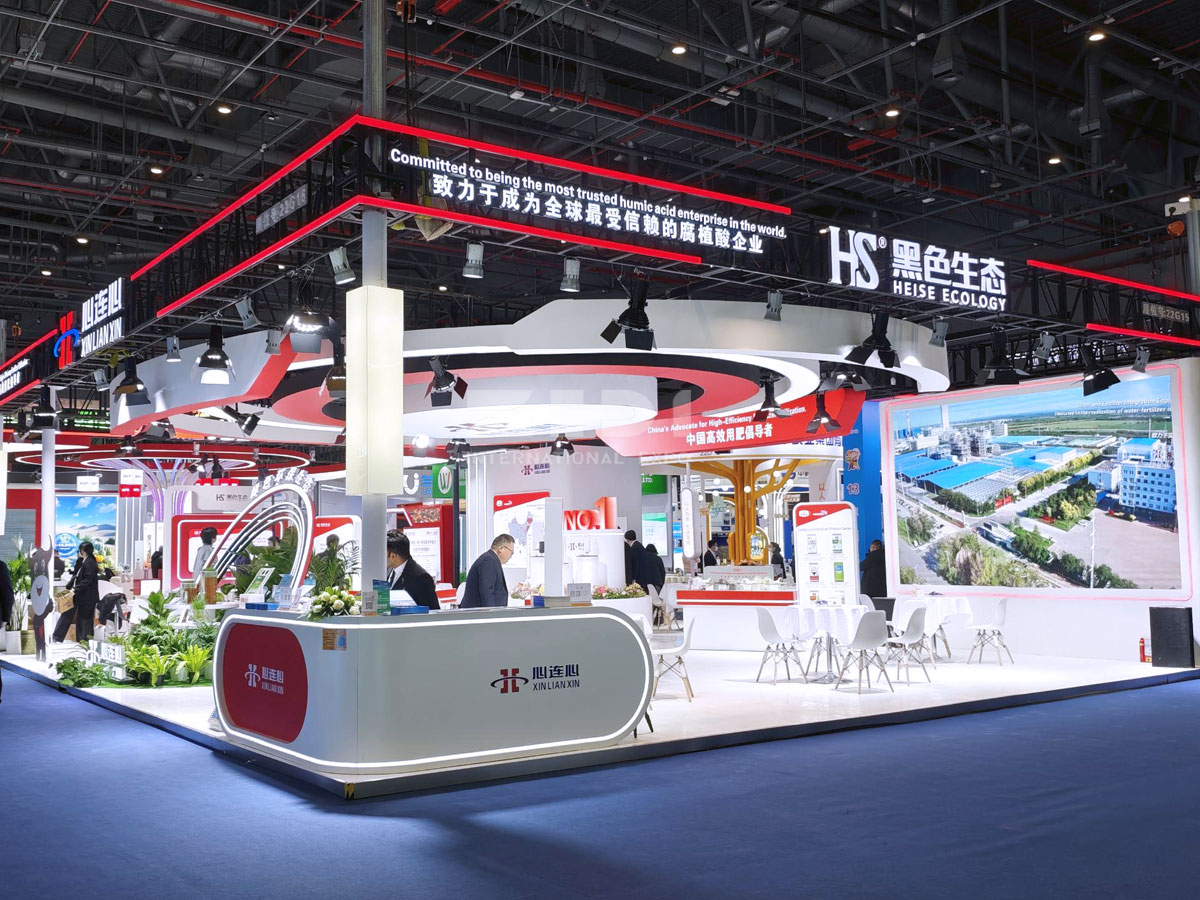 上?；试险古_搭建